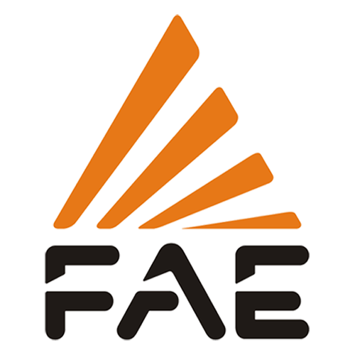 FAE Group - case history neosperience