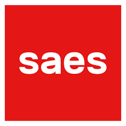 NSP-24_Case Histories_Process Innovation_Saes Getters - Intellectual Property Management